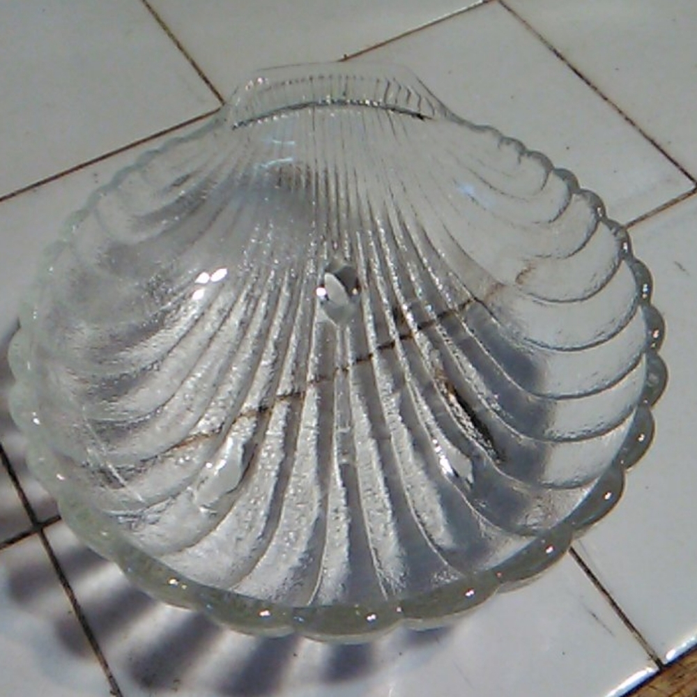 Clear Glass Shell Dish